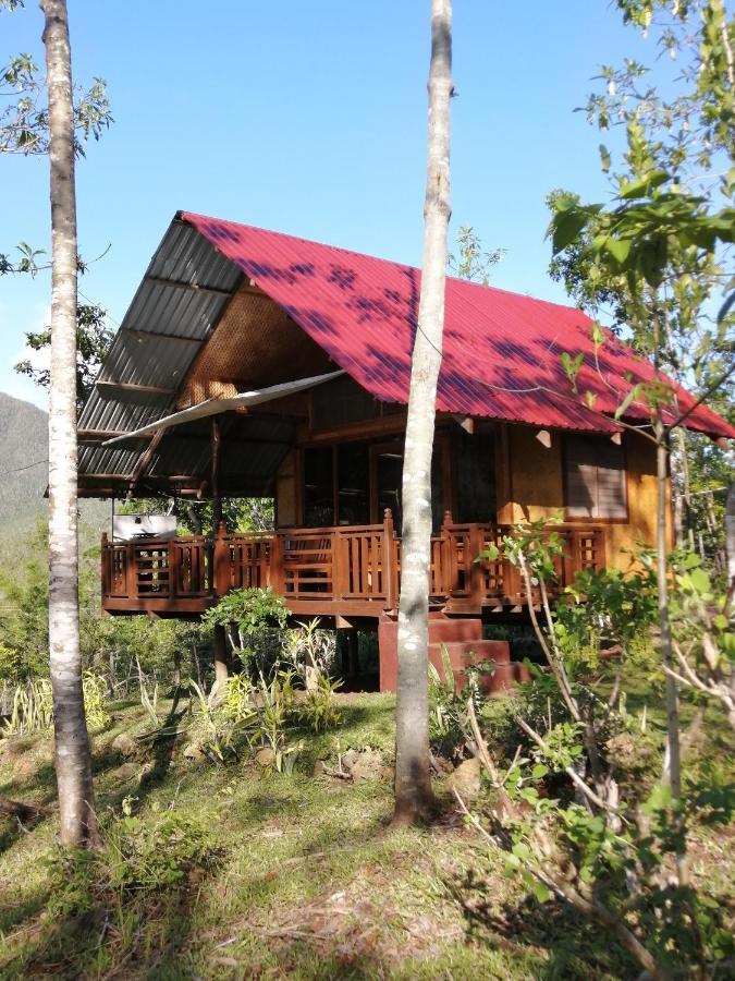 Villa Nagtabon Puerto Princesa Dış mekan fotoğraf